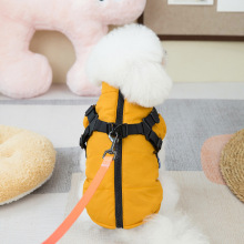 �����·��ﶬװ̩�ϱ�����С��Ȯ���챣ů�Ӻ����´���ǣ���ر�