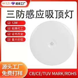 应急指示灯具;LED电源;吸顶灯