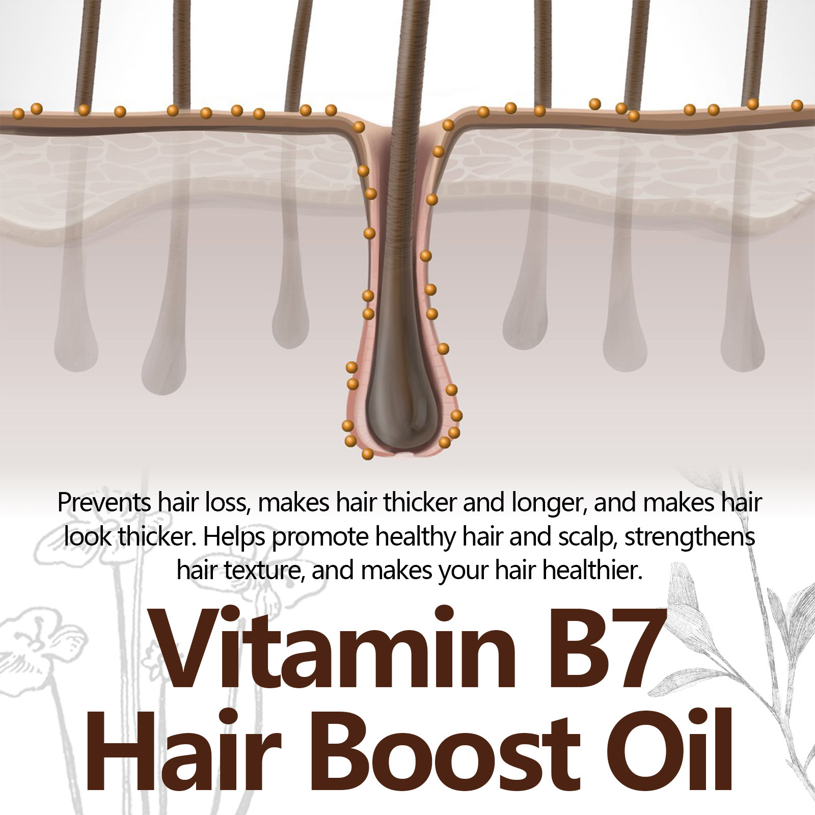 Esența de îngroșare a părului EELHOE întărește rădăcinile părului, hidratează scalpul, îngroașă părul, previne căderea părului și protejează esența părului._voghion.com