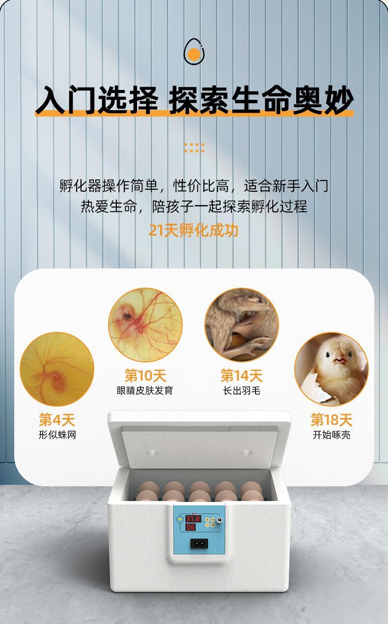 8a4720f6-b68f-462f-942c-4313741900fe.jpe