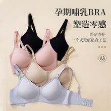 2024���¿�����lܛ֧�Οo�Ȧ�o���N����� �Ԏ��������´�����