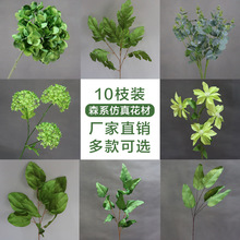 ɭϵ���滨10֧�b��픾Gֲ�~�ӻ�c�G�������~�b��߻��٘��~