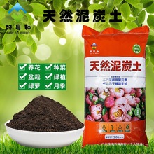 ����̿����̼���M�ڠI�B���w���ЙC��������̿���l������ͨ��