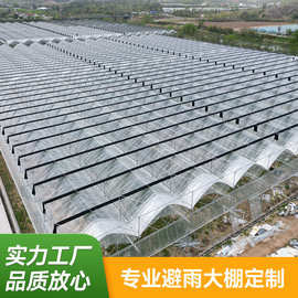 大棚钢管蔬菜大棚骨架镀锌钢管种植养殖连栋连体温室避雨单体大棚