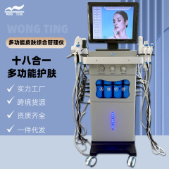 18-in-1 多機能スキンマネジメント総合管理器具 Haifei Beauty Salon Show 大型バブル美顔器