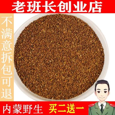 Dodder Dodder Inner Mongolia wild