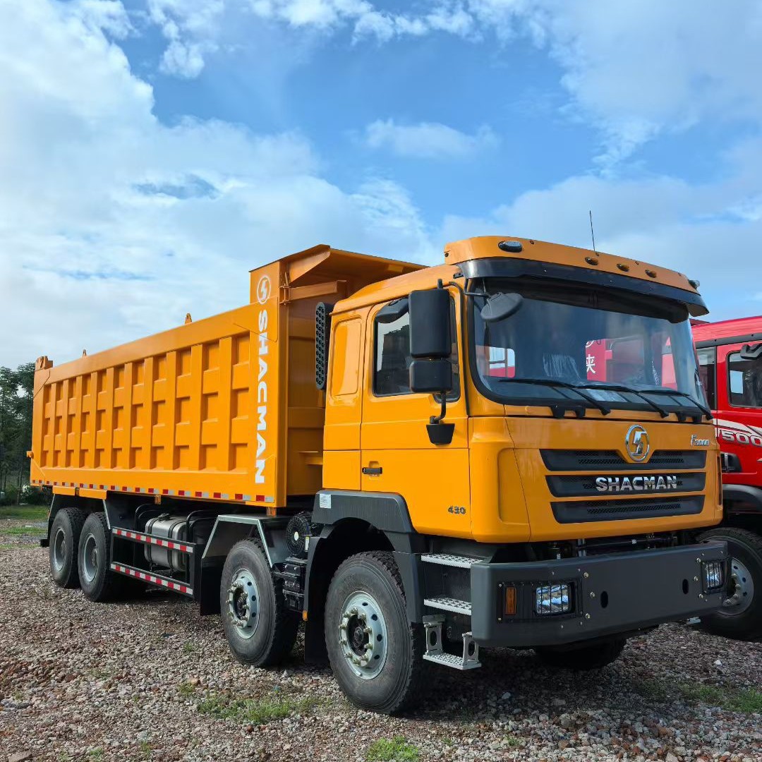 Used Dump Truck for Export, Shaanxi Automobile Delong F3000 6X4 Rear Eight-Wheel Dump Truck with Weichai Engine