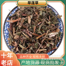 șlīɏ500؛ɏݟoa؛ԴвșҎRȫһ