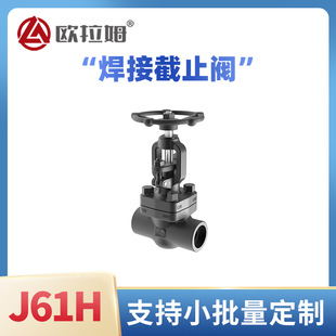���ӽ�ֹ�y�ߴ� 1��ڏ�800Lb �߉�̼�A105 �p���b�ÿ؉�����