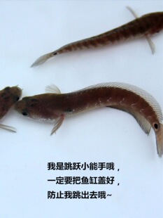 ���������~�����kɽ���~���Ǐ����~�\�����~�^�p�����~��ˮ��ˮ�~