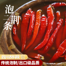 四川特产泡椒辣椒小米辣老坛泡菜泡椒二荆条泡姜酸萝卜酸菜腌制菜