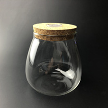 苔藓微景观创意瓶 diy带灯水滴花瓶 木塞生态瓶 制作容器批发