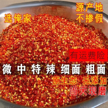 ���������������������������������l�͝�������������100g������