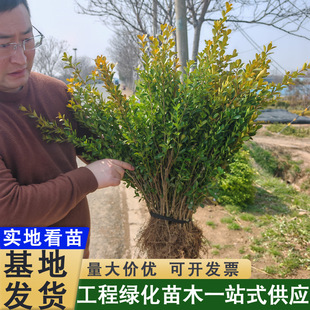 С�~�S��С������ļ������ͺ��G�hɫ�KͥԺ�@�־G��С�~�����S��