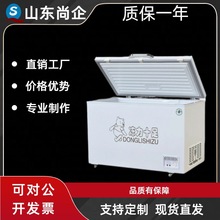 冷藏冷冻冰柜厂家商用卧式冰柜商场超市低温速冻肉卧式冰箱