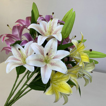 3D31Wٺ Ҿbٺϻ 3DӡָмٻԻ