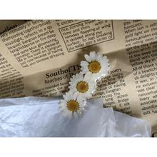 ֲ�ﻨ��С�r�յ��z�ֹ��滨�ٴ�ins�L��Ů�б�������A