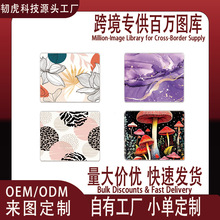 ��ʻ������������������������������豸���̵�羳�����