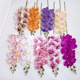 ���滨9�^3D�����m�� ���zƬ��c��ӼҾӲ廨���ØӰ巿�bٻ�