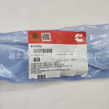 ����˹T30���͹�4067802ԭ�S�������̙Cе����˹���͹�