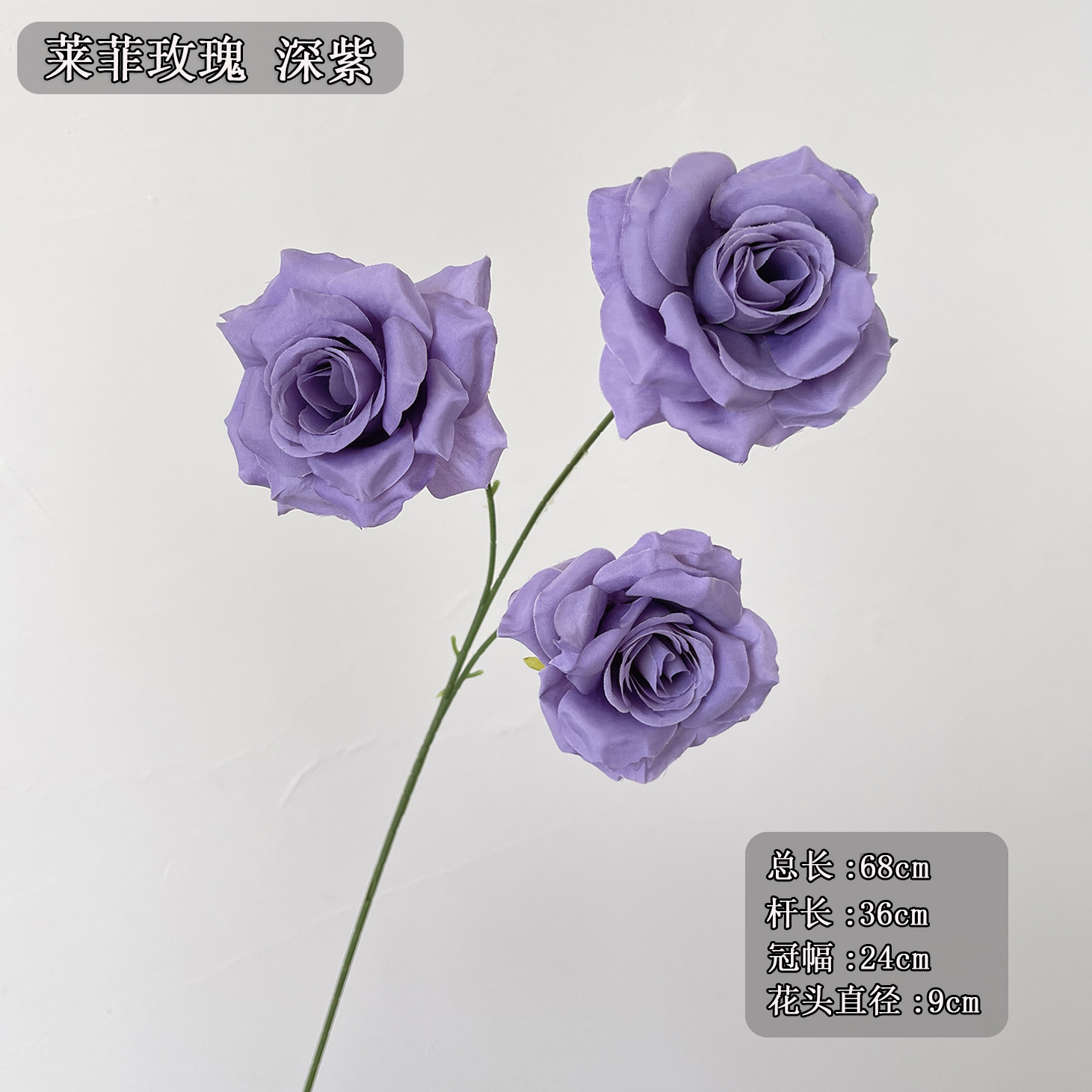 3 필레 로즈 딥 퍼플