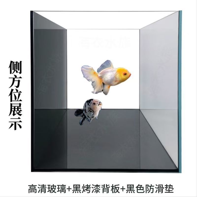 af48b916-bbb9-4b07-8a3b-8e5ffcfcba78.jpe