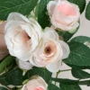 Flower-shaped, floral, champagne color