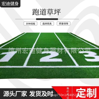 健身房HYROX跑道草坪刻度白线仿真草皮户外人造塑料草坪直草曲草