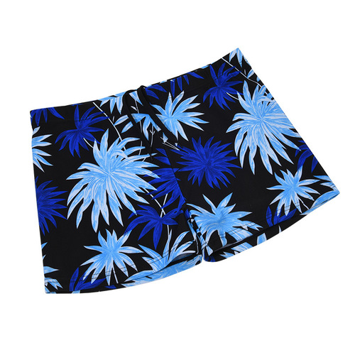 Men's Swim Trunks Wholesale Printed Fashion Anti-Embarrassment 2025 New Polyester Quick-Dry Vacation Swim Trunks Direct Manufacturer Sale