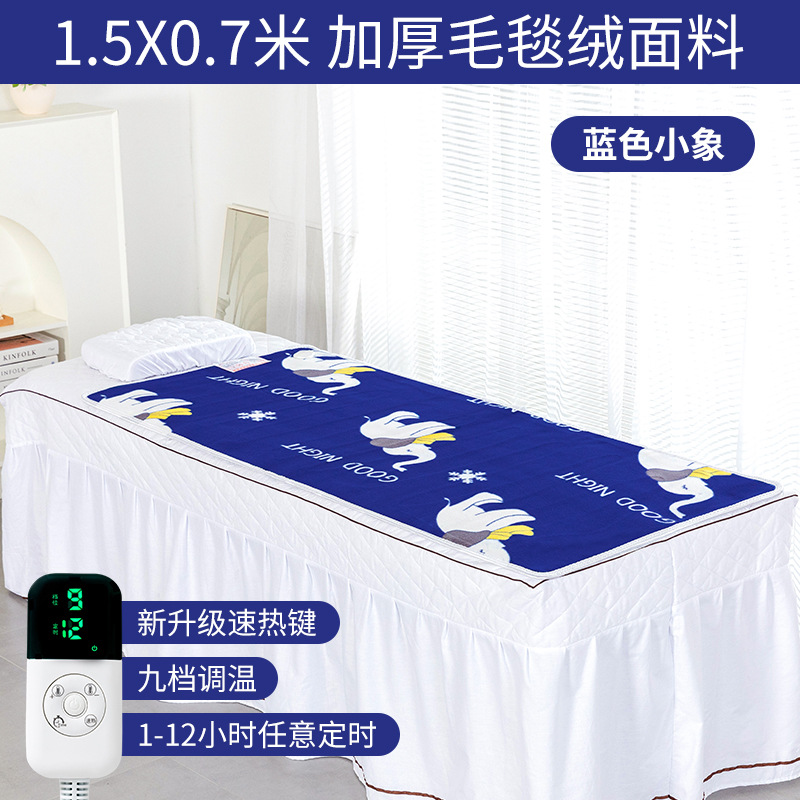 美容ベッド電気毛布シングル美容院専用マッサージベッド小型家庭用ソファーの上の小さいサイズの電気布団