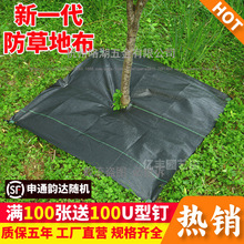 ���ͷ��ݲ����ݲ������Ƭ���ù��@�����ڲ��w�ݵز�����ڵ�Ĥ