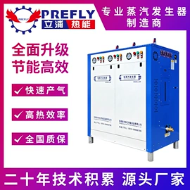 蒸汽发生器;燃气锅炉;锅炉配附件