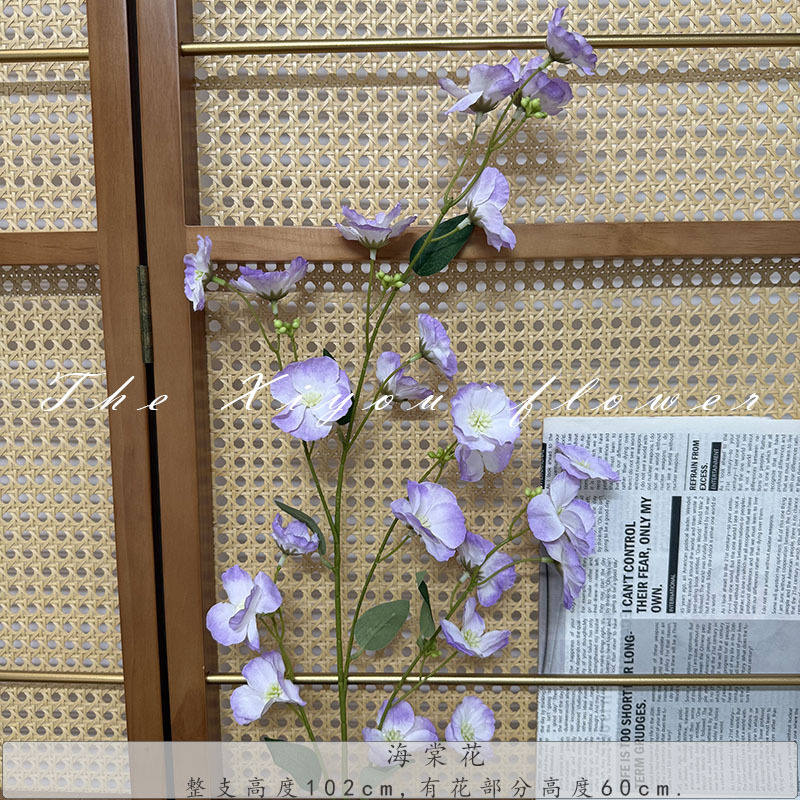 베고니아 꽃-보라색