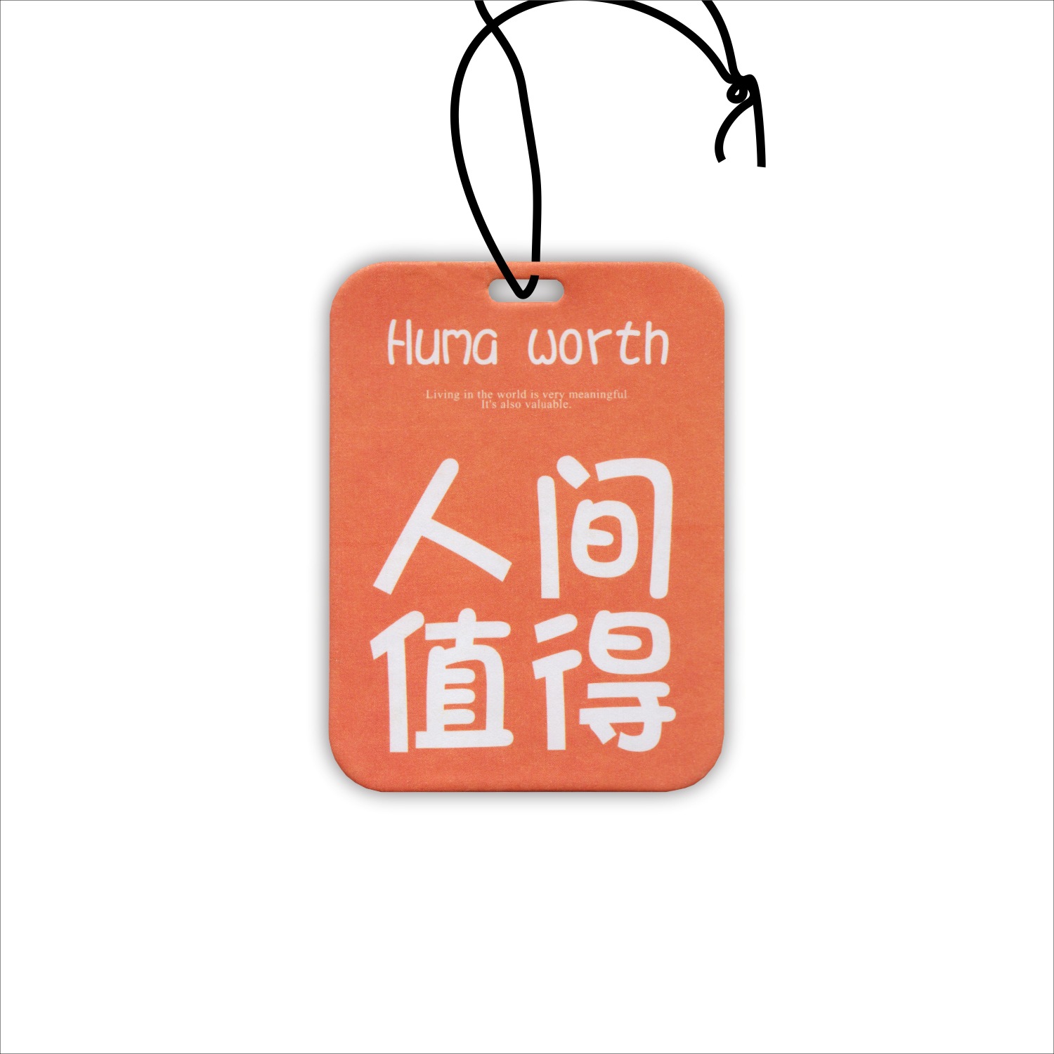 지구상에서 가치있는