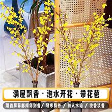 �������ܴ����r�л�����֦ѩ���D÷���������m÷���҃���ˮ�_��