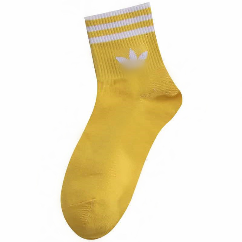 微信图片_20210311224920_副本