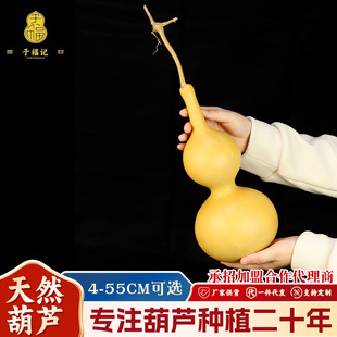 16-25cm��̖��Ȼ���Jβ؛�[������J�հ������Ҿ��b�ͨ؛���l