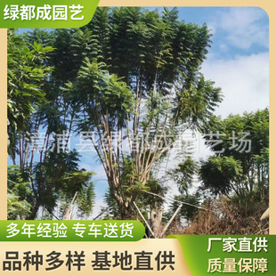 ��Ʒ�����{�����Ȼ���΄e��ͥԺ�������_��ֱ����֧���B�oָ��