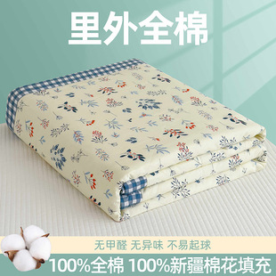 Xinjiang long staple cotton Class A cotton summer quilt cotton summer cool quilt kindergarten air conditioning washable children's quilt wholesale
