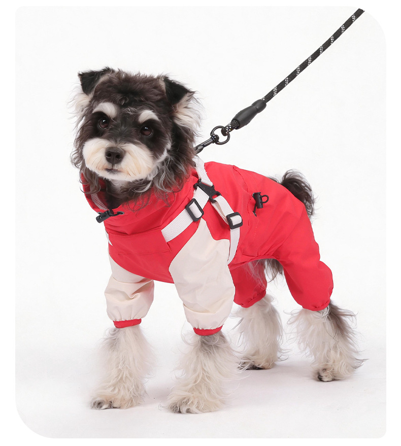 Waterdichte regenjas voor honden met capuchon en vier poten_voghion.com