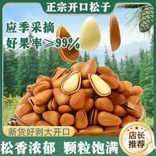 一件代发东北开口松子500g坚果零食特产炒货东北松子干果批发代发