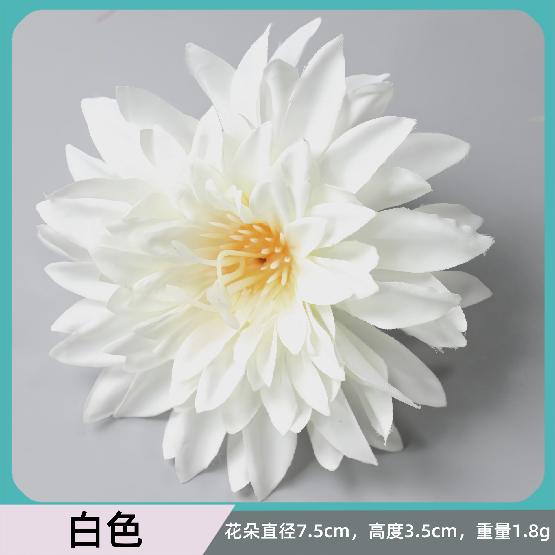 하얀색