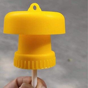 Fruit Fly Trap, Melon Fruit Fly and Wasp Catcher, Lure Attractant, Golden Fly Fruit Tree Flying Insect Trap, Insect Trapping Device