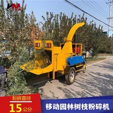 强力粉碎树枝设备 时产3-5吨的大型粉碎机 自动上料碎枝机