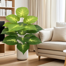 ����GֲС�����f���౱�W�L�҃ȿ͏d�b��쾰��ؔ[��������ֲ��