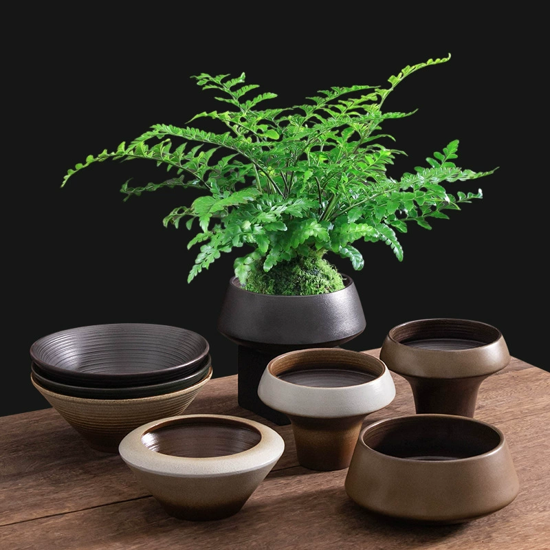 Специальное гидропонное сосуд для зеленых растений и мховых шариков, папоротников, непористых керамических цветочных горшков, комнатных настольных цветочных горшков с цветочными украшениями.