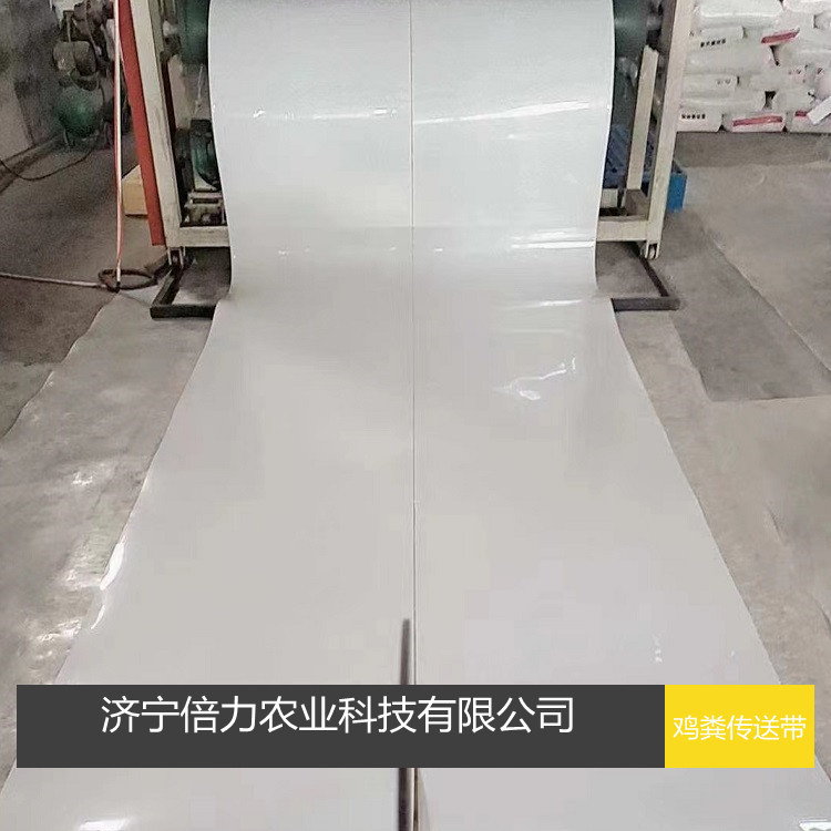 鸡粪传送带PP材质接粪板养殖场自动出粪带厂家直销质量保证