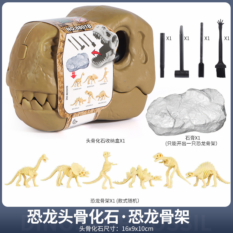 Dinosaur head Archaeology (random 1 dinosaur skeleton)