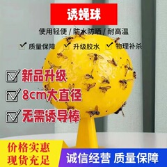 ショウジョウバエトラップ飲食室内家庭用粘虫球が虫の神器をつかんでハエ球ハエを誘います。