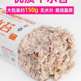 ˮ̦�����M�ڸ�ˮ̦�����m���I�B��̦�\ʯ��ʳ�xֲ��